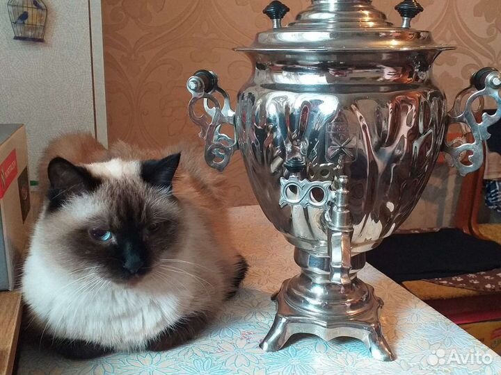 Электросамовар