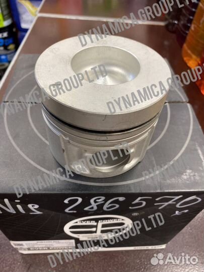 Поршни+ кольца nissan UD condor 12010-0T302 FD46 STD alfine