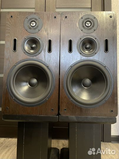 T+A Stratos P33 отличная немецкая акустика