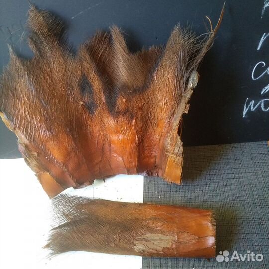 Кора пальмы