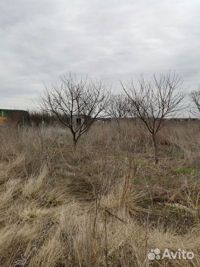 Участок 9 сот. (СНТ, днп)