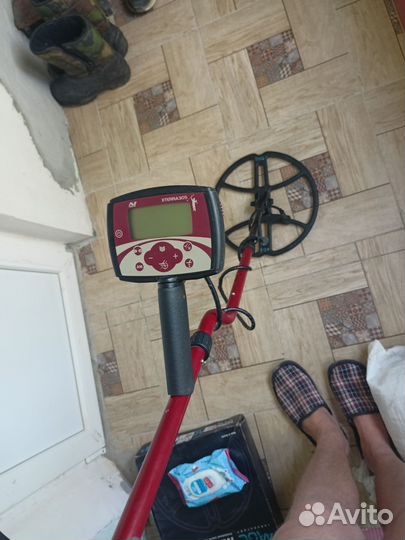 Металлоискатель Minelab X terra 305