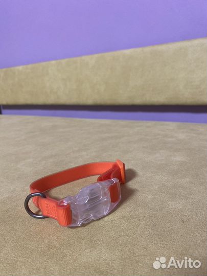 Ошейник для собак