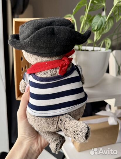 Кот Басик пират