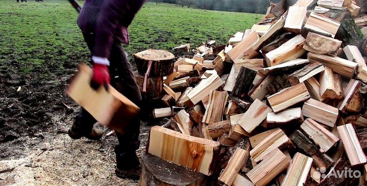 Дрова березовые