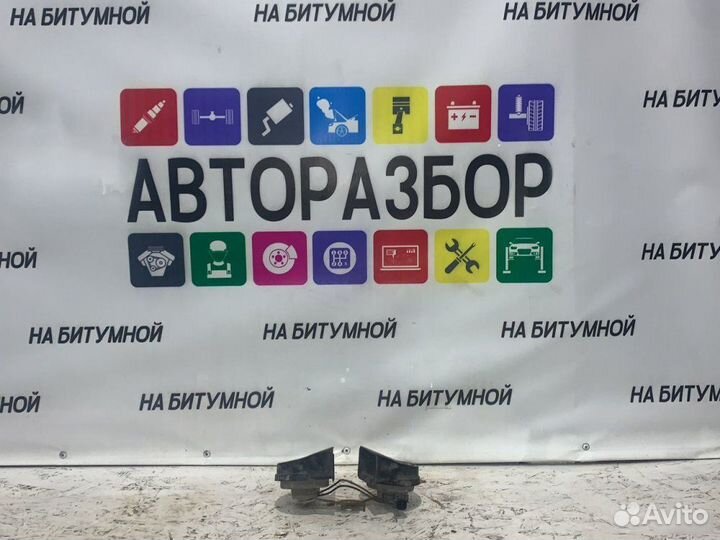 Сигнал звуковой Ford Focus 2