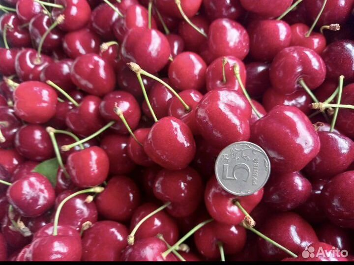 Сладкая и крупная черешня 2,5 кг