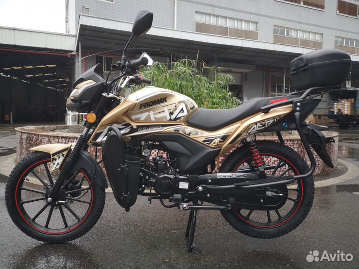 Мопед promax alpha RS-PRO 150 (49)