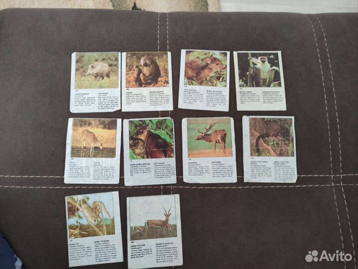 Вкладыши final 93, kobra, kent sport, mertsan