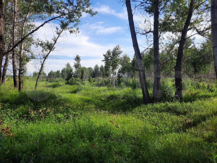 Участок 15,44 га (СНТ, ДНП)