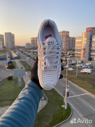 Кроссовки Nike Air Max Tailwind 4