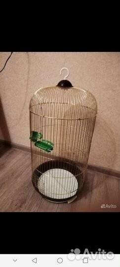 Клетка для попугаев