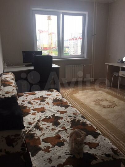 1-к. квартира, 41,3 м², 8/17 эт.