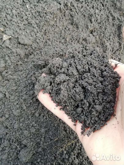 Торф и многое другое