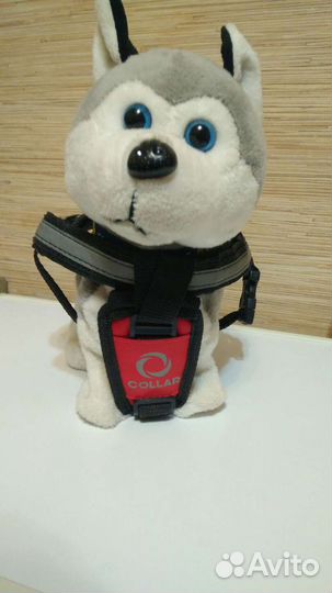 Шлея для небольшой собаки 