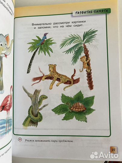 Развивающие тесты 3-4 года