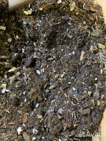 Грунт для комнатных цветов готовый универсальный