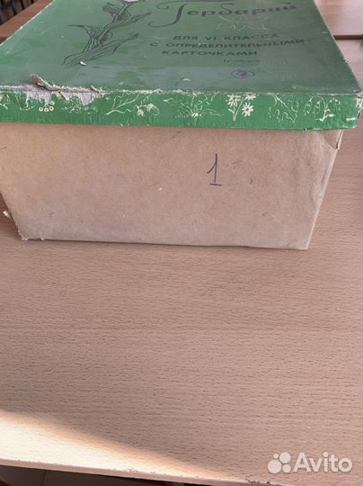 Гербарий школьный