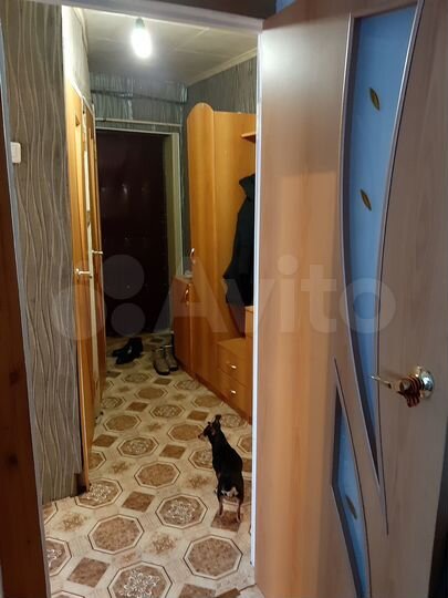 2-к. квартира, 47 м², 2/2 эт.