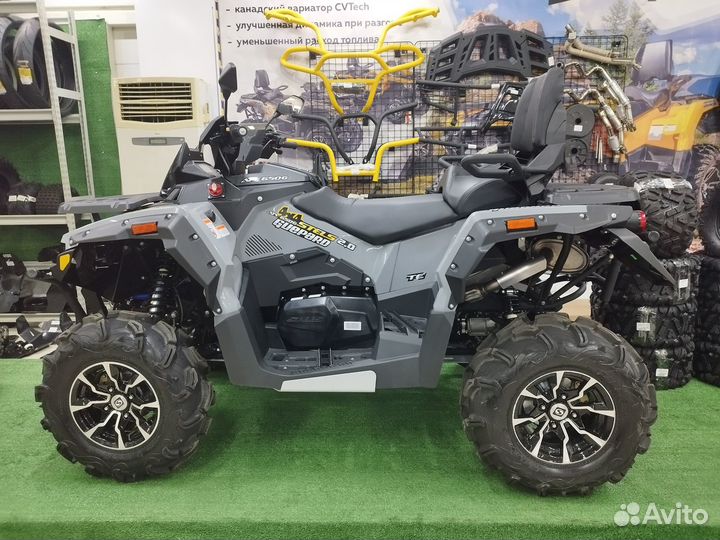 Квадроцикл Stels Guepard 2.0 ATV 650 G EPS
