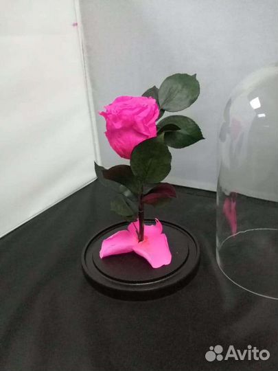 Роза в колбе оптом