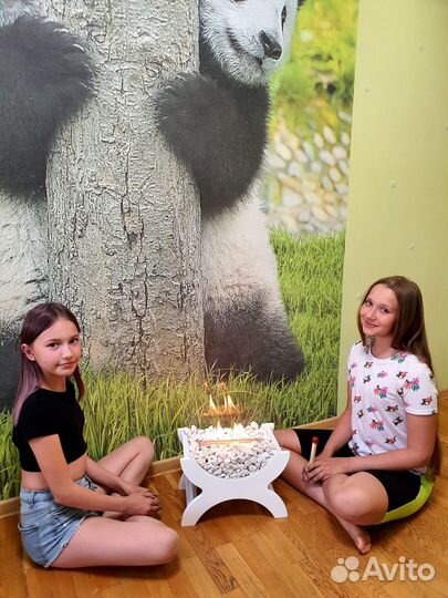 Био камин новый, подходит для квартиры