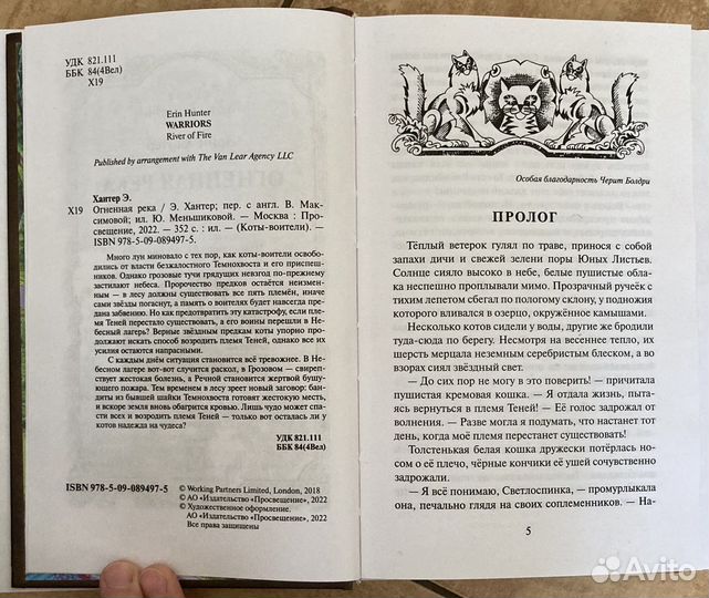 Книга Коты воители