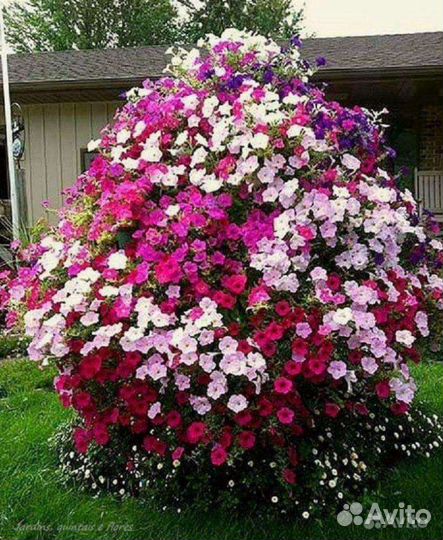 Подставка для цветов