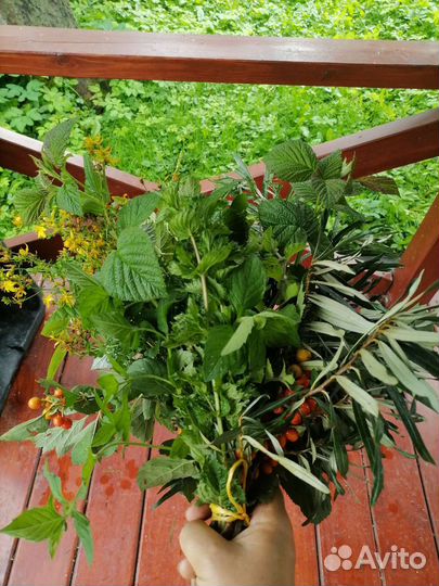 Букет для чая-6 трав;Мята,Мелисса,Зверобой - пучки