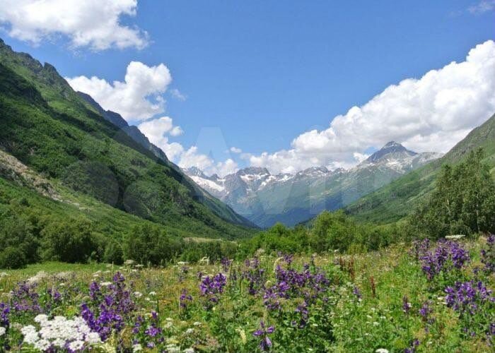 Участок 1,3 га (СНТ, ДНП)