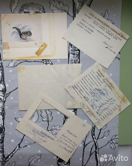 Хмк/Оригинал рисунка к конверту Исаков Бурундук