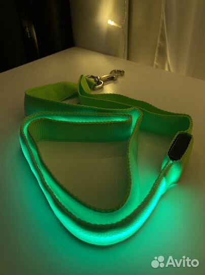 Светящийся поводок для собак