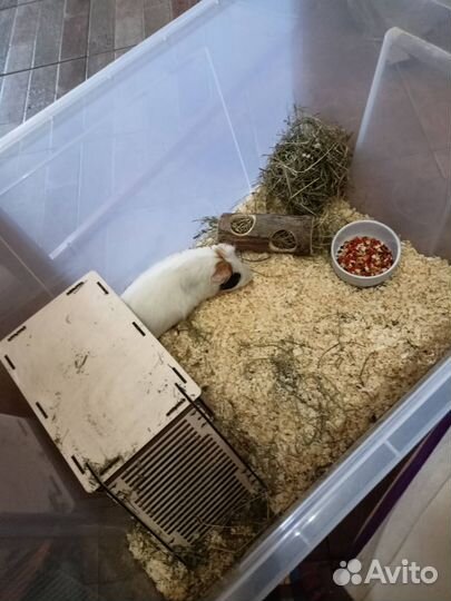 Клетка/контейнер для грызунов