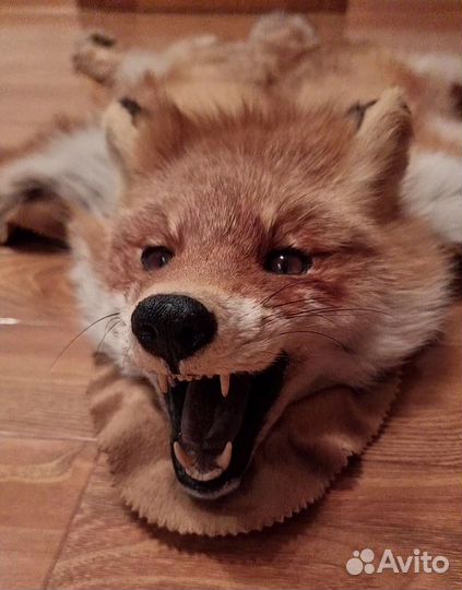 Коврик шкура лисы