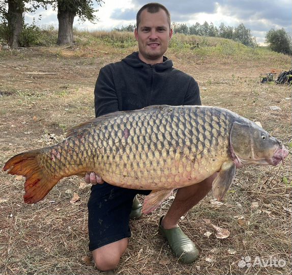 Набор долгоиграющей макухи для сазана из 30шт