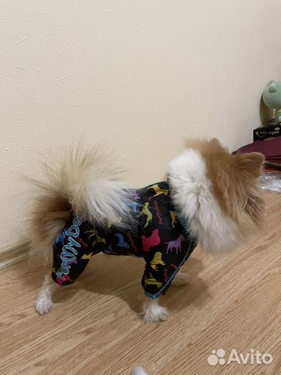Комбинезон для маленькой собаки