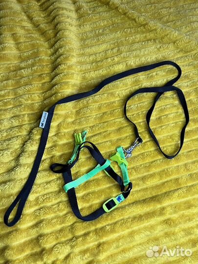 Поводок для маленьких собак