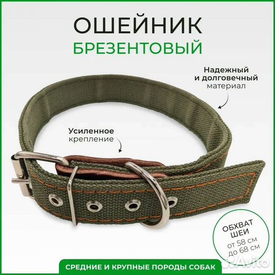 Ошейник брезентовый для крупных собак