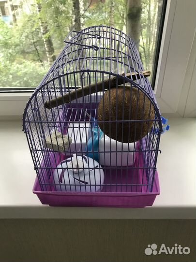 Клетка для грызунов бу