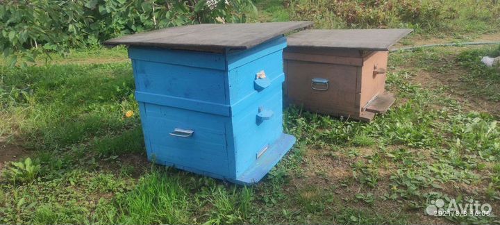 Ульи для пчел