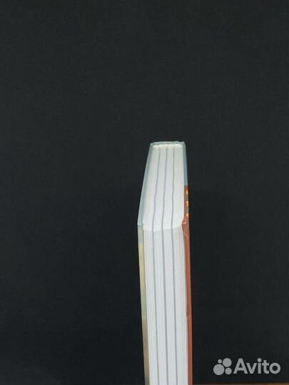 Книга. Афон. История и современность Святой Горы 2