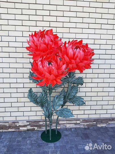 Ростовые цветы