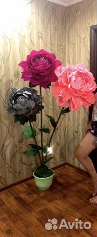 Ростовые цветы. Гигантские цветы. Фотозона из цвет