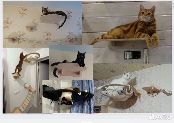 Комплексы и аксессуары для котиков