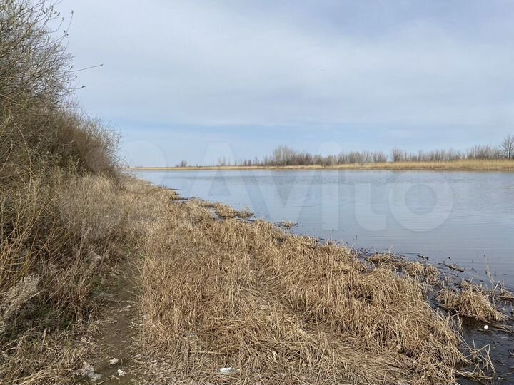 Участок 61 га (СНТ, ДНП)