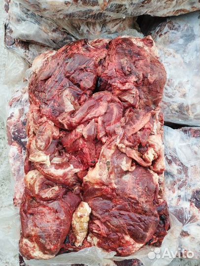 Мясо говядина