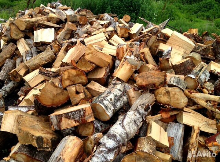 Дрова осина
