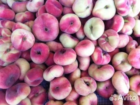 Персик инжирный «Владимирский»