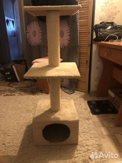 Когтеточка