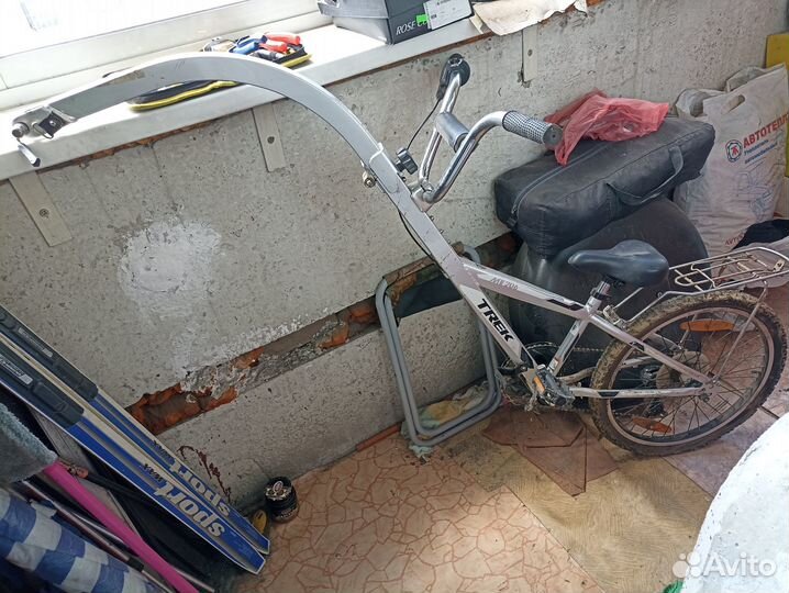 Велоприцеп для детей, ранебаут